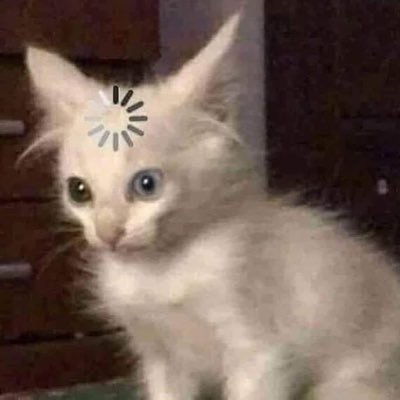 라들러さんのプロフィール画像