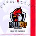 @PolloCup