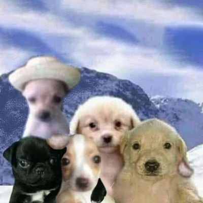 Joselolgamer4's profile picture. .