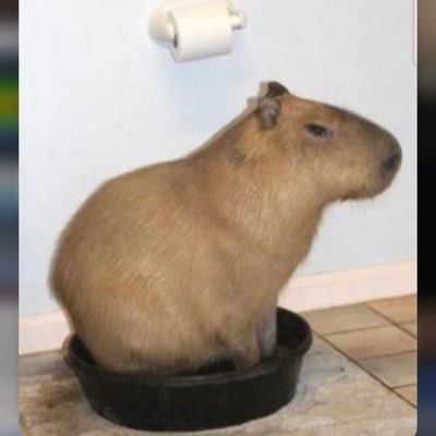 big_bad_bagel's profile picture. There’s a bug in my ice cream!