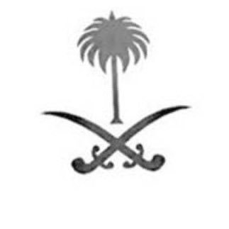 الـغـصـن الـذي يـمـيـل فـي شـجـرة الـكـرامـة أقـطـعـه .. (Information technology and information security specialist)
