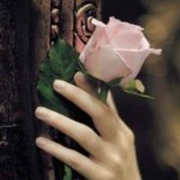 Mara Rolon (@mararol67835919) 's Twitter Profile