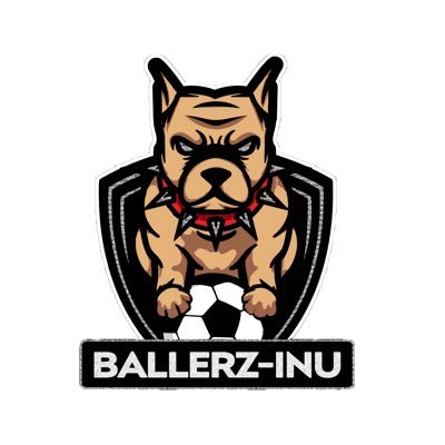 A platform creating a yielding ecosystem by utilising the multi billion football industry, and integrating the next generation of ballerz to Web 3.0
