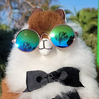 Ciaraさんのプロフィール画像
