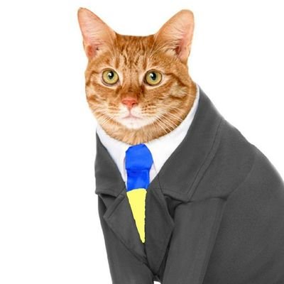 Bereeza43's profile picture. 