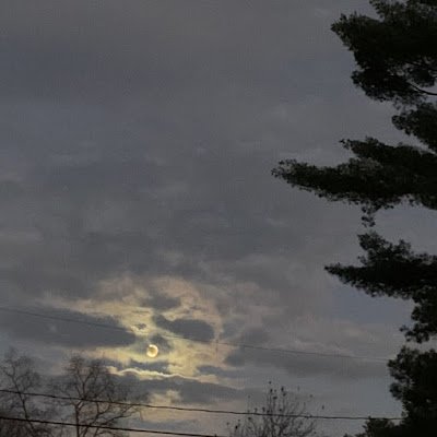 NadiaDupuis6's profile picture. 