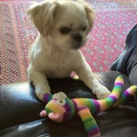 Chriskh63 (@chriskh63) 's Twitter Profile