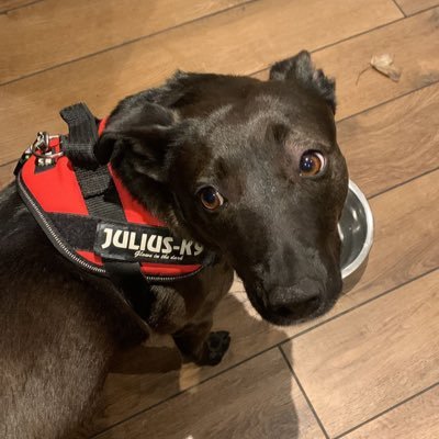 Kirkwood7Reece's profile picture. 