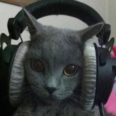 dripdropvvv's profile picture. 