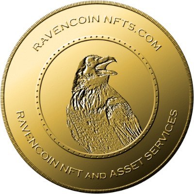 Ravencoin_NFTs's profile picture. Welcome to the World of RavencoinNFTs
work in progress https://t.co/PIACWIPMOb