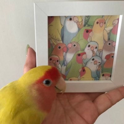 7vhEtQXxMyFVXgi's profile picture. シュガシュガーで山口一郎さんのセンス、魅力に惹かれたのをきっかけに沼堕ち🐟 ヘッダーはかんちさん『@KZMction14 』にシュガシュガな男子3人を描いて頂きました。サカナクションの音楽に日々癒されてます🎧✨人見知りで距離感分からない深海🐟ですがよろしくお願いします(❁ᴗ͈ˬᴗ͈)ﾍﾟｺﾘ｡:.ﾟஐ⋆*