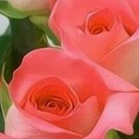 Andrea (@andrea632060731) 's Twitter Profile Photo Andrea (@andrea632060731) 's Twitter Profile Photo