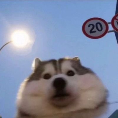 Norah37580972's profile picture. 