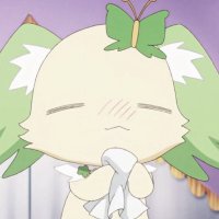 caju !¡ 🍵 (@cajudiets) 's Twitter Profile