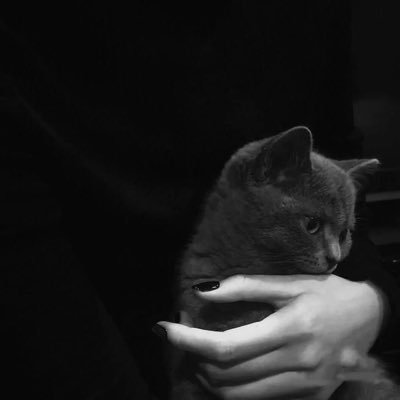 anyone3432's profile picture. 🇨🇳｜sub｜m｜双子｜enfp｜vx聊天🚪520｜自用vpn: https://t.co/lg573IBk85