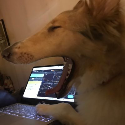 True Trading Group/ TTG Family. Day Trader. Fiancée. From NYC. $UVXY $TSLA $VUG. Tech Analysis & Passion for the markets. #Handicappability #EmmieTheCollie