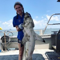 Mary Margaret Pelton (@mmpelton) 's Twitter Profile