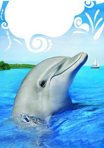 love2splash's profile picture. Exploring the World.