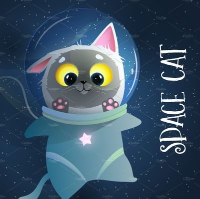 Alter ego to Space__cat (parody)@catstronaut_ 🐈‍⬛
🥸