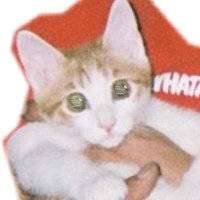 エビデブ(E.D) (@yrwymy) 's Twitter Profile Photo エビデブ(E.D) (@yrwymy) 's Twitter Profile Photo