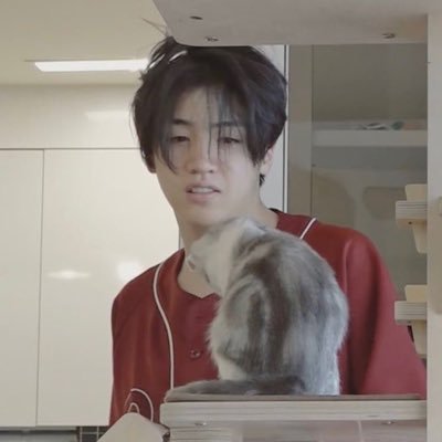 stupid racoon causing problems/ 99‘ / he,him /