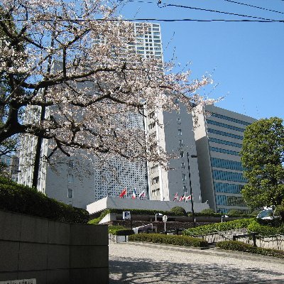 日本を豊かに、強く。

令和３年４月から年金生活。

令和３年１０月に満６５歳になり、老齢基礎年金の受給権を得ましたが繰り下げ受給を選択し、当面は老齢厚生年金のみ受給することとしました。

生活費は「①　75歳前は老齢厚生年金と貯蓄取崩し」、「②　75歳後は老齢厚生年金と老齢基礎年金(84％増）」で賄うこととしました。