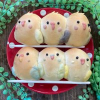 パンと和菓子のお店 mochiri(@mochiri__) 's Twitter Profile Photo