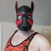 Pup Bravo (@puppy_bravo) Twitter profile photo Pup Bravo (@puppy_bravo) Twitter profile photo