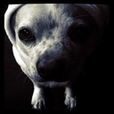 Jeanette Combs - @strawberry1216 - Twitter