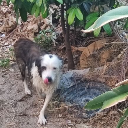 PutSKELEEEERR's profile picture. 