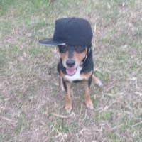 Adrian leono (@adrianleon_o) 's Twitter Profile
