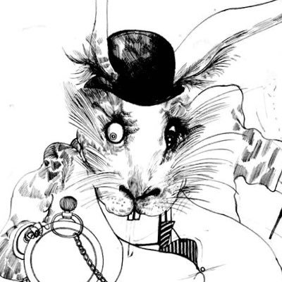 highchiefrocka's profile picture. 