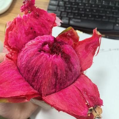 FanzhaAPP's profile picture. 大家好，我是华春吟