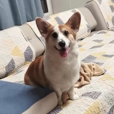 ZhangRuwen's profile picture. 