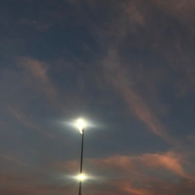 thetransbottom's profile picture. Just a trans woman showing off🍑