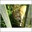 tjv36dd's profile image