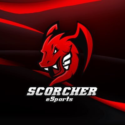 Streamers | Paintball | Looking for Content Creators, and Sponsors! DM to Join! #ScorchTheNation🔥