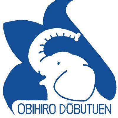 obizoo_official Profile Picture