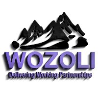 Wozoli Contractors (@wozolic) 's Twitter Profile