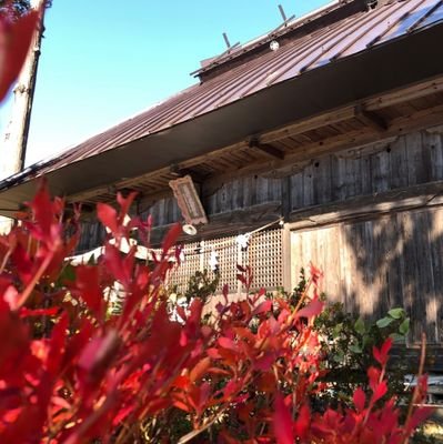 komoronojinjya's profile picture. 小諸市菱平鎮座の菱野健功神社、東御市出場鎮座の天照皇大神宮、小諸市高峰山の山の神神社等の祭典情報等を発信してまいります