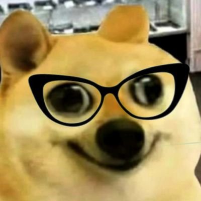 ShashankKV33's profile picture. memer