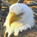 ♥♫♥♫ ♥♫ (@mariepajett) Twitter profile photo