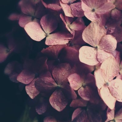 thinkofme_321's profile picture. 読書垢📖遅読。恋愛小説偏愛、時々ミステリー。やさしい話とままならない恋愛の話がすき。 江國香織 / 伊坂幸太郎 / 島本理生(敬称略)  #読書好きな人と繋がりたい