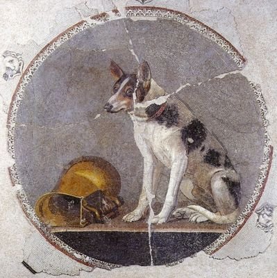 reference_pear's profile picture. 