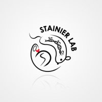 Stainier Lab(@StainierLab) 's Twitter Profile Photo