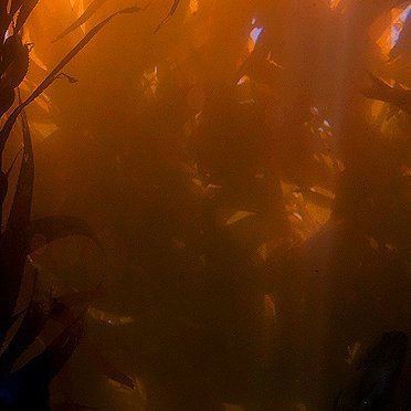 CalibratedBlast's profile picture. Hi :)