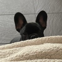 ู (@notgoonxn) 's Twitter Profile Photo ู (@notgoonxn) 's Twitter Profile Photo