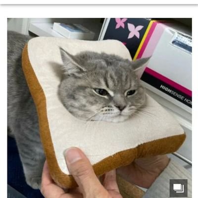 マフィン #山崎視代佳