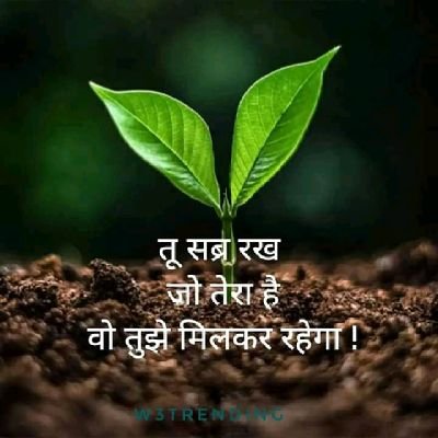 Sourabh04009377's profile picture. शीलम परम भूषणम 🙏