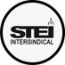 STEI Intersindical (@sindicatSTEI) Twitter profile photo